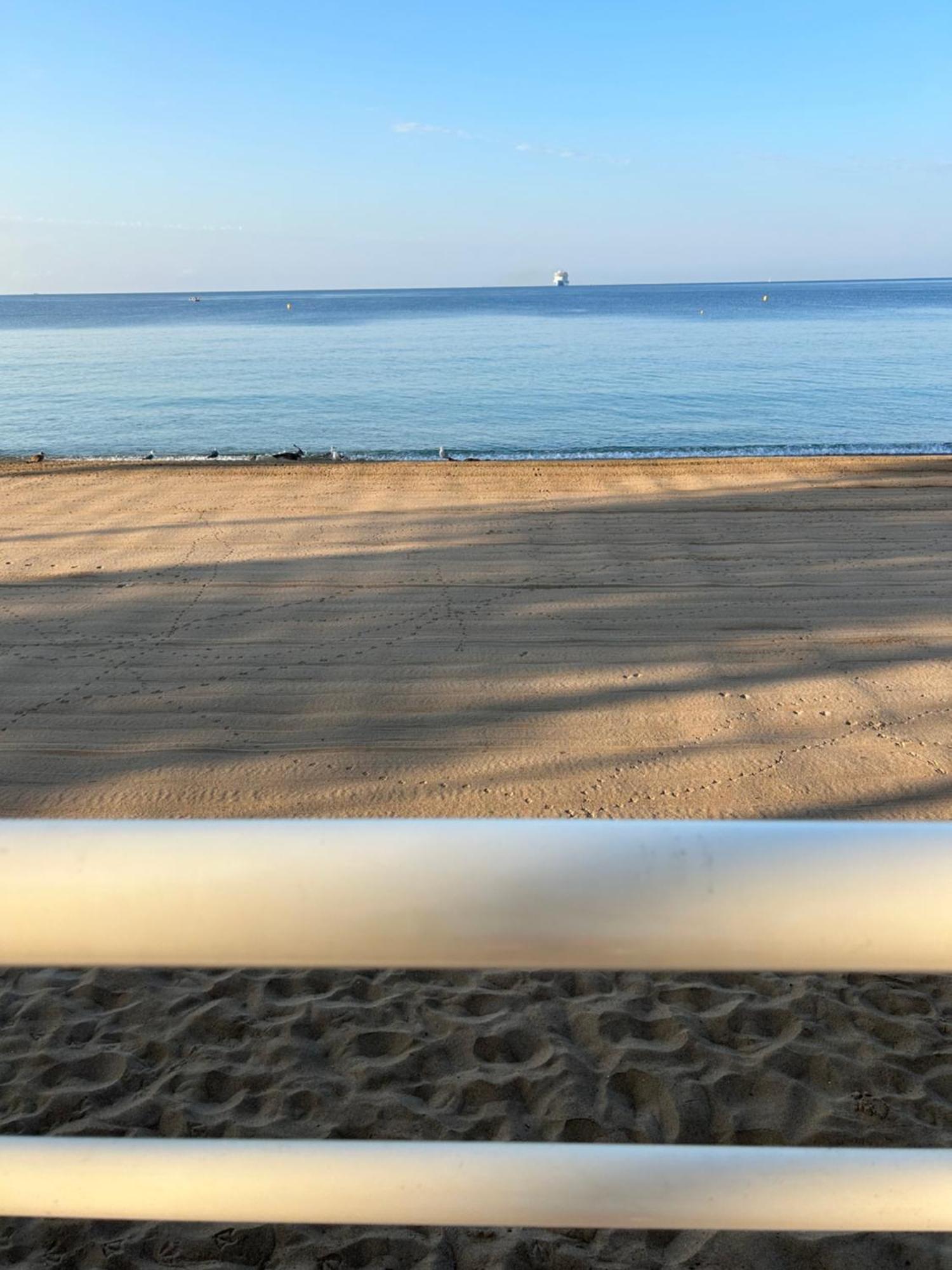 Appartement Rooftop, Premiere Ligne, Vue Mer, 50M De Plage Du Midi Cannes Eksteriør billede